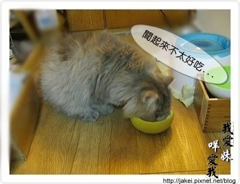 2009 中秋 10.jpg