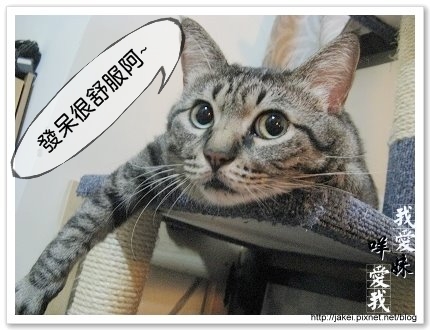 4 恍神喔.jpg