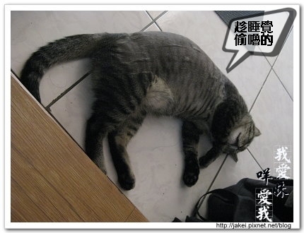做個好夢 2.jpg
