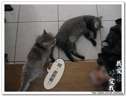 做個好夢 3.jpg