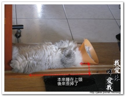 做個好夢 7.jpg