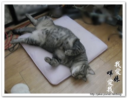 做個好夢 8.jpg