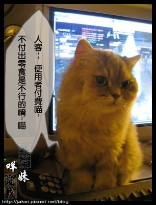 辣貓陪打 08.jpg