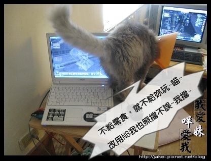 辣貓陪打 10.jpg