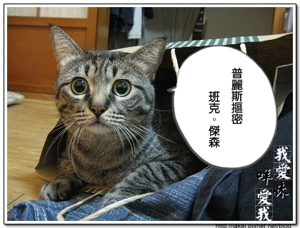 傑森貓 3.jpg