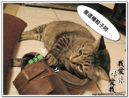 好愛鞋 03.jpg