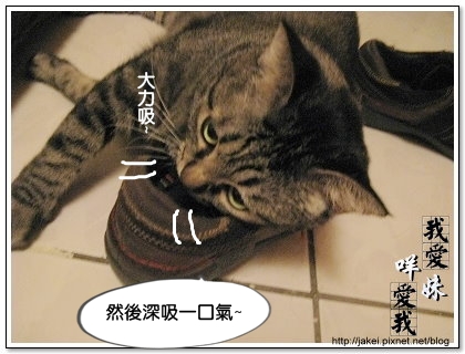 好愛鞋 04.jpg