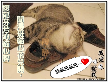 好愛鞋 05.jpg