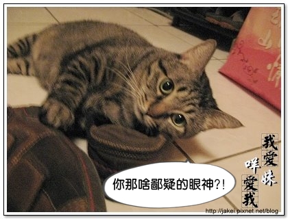 好愛鞋 06.jpg
