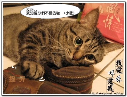 好愛鞋 07.jpg