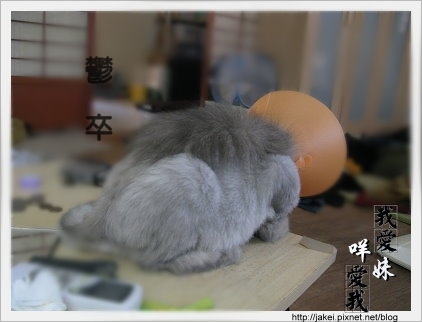 憂鬱的貓 04.jpg 憂鬱的貓 04.jpg