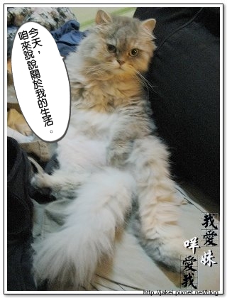 出淤泥而不染 01.jpg