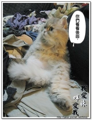 出淤泥而不染 03.jpg