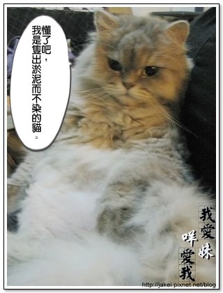 出淤泥而不染 04.jpg