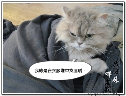 出淤泥而不染 05.jpg