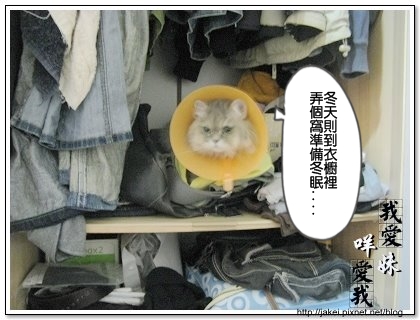 出淤泥而不染 06.jpg