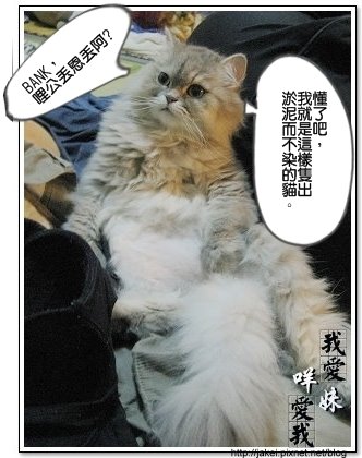 出淤泥而不染 07.jpg