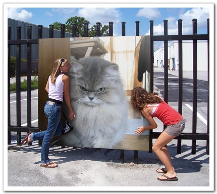 PhotoFunia_be4fd.jpg PhotoFunia_be4fd.jpg