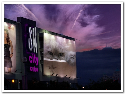 PhotoFunia_c7be4.jpg PhotoFunia_c7be4.jpg
