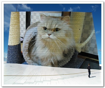 PhotoFunia_c7dd4.jpg PhotoFunia_c7dd4.jpg