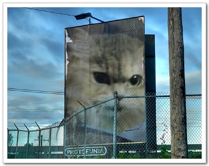 PhotoFunia_c8a93.jpg PhotoFunia_c8a93.jpg