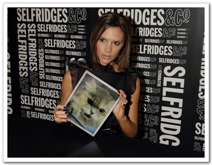 PhotoFunia_c8caf.jpg PhotoFunia_c8caf.jpg