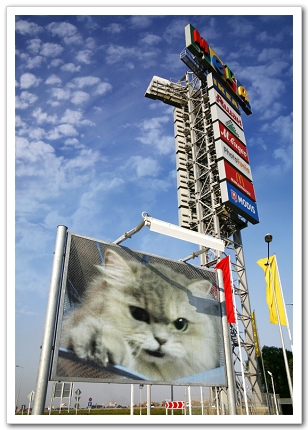 PhotoFunia_c8d0f.jpg PhotoFunia_c8d0f.jpg