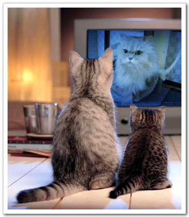 PhotoFunia_c78b7.jpg PhotoFunia_c78b7.jpg