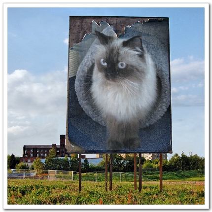 PhotoFunia_c811c.jpg PhotoFunia_c811c.jpg