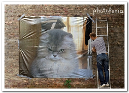 PhotoFunia_c849d.jpg PhotoFunia_c849d.jpg