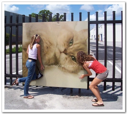 PhotoFunia_cc5ff.jpg PhotoFunia_cc5ff.jpg