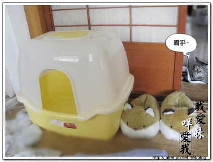 貓盆 1.jpg