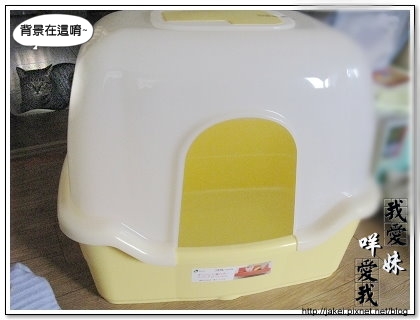 貓盆 3.jpg
