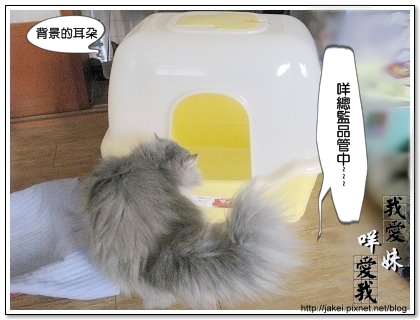 貓盆 4.jpg