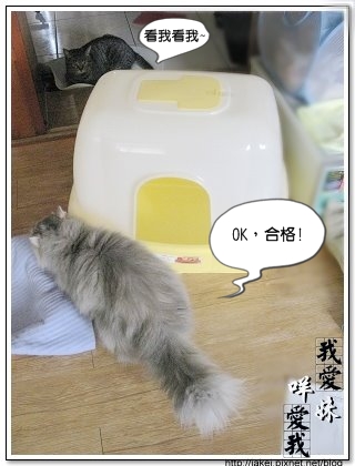 貓盆 5.jpg