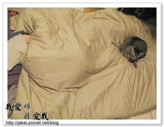 暖暖貓 05.jpg
