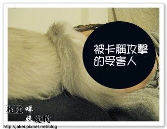 暖暖貓 15.jpg