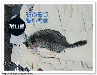 暖暖貓 17.jpg