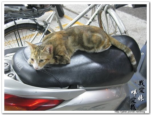 國光路7-11 002.jpg