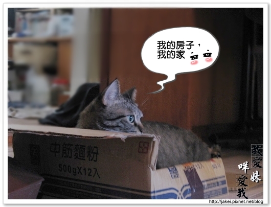 Bank的窩 06.jpg