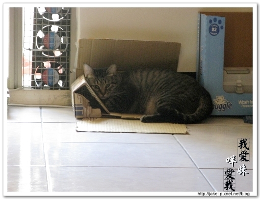 Bank的窩 07.jpg