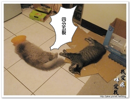 Bank的窩 09.jpg