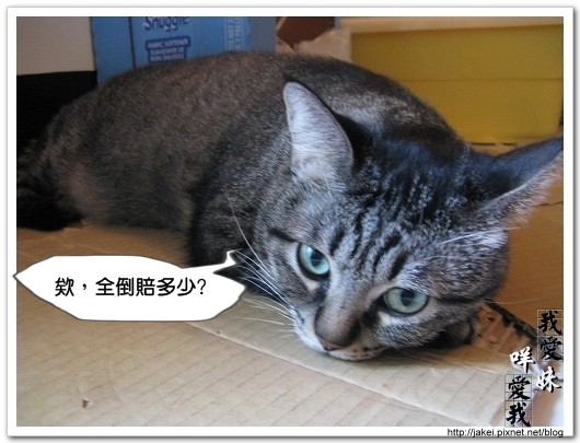 Bank的窩 10.jpg