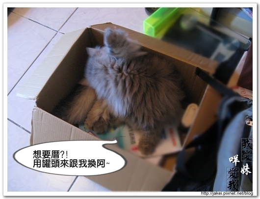 Bank的窩 11.jpg