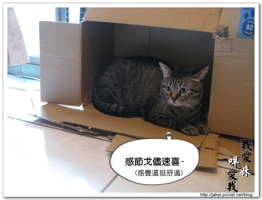 Bank的窩 12.jpg