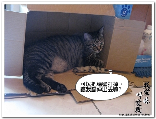 Bank的窩 13.jpg