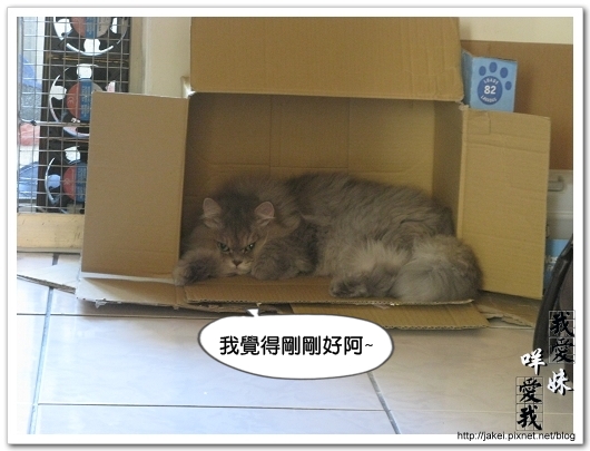 Bank的窩 14.jpg