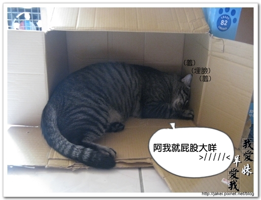 Bank的窩 15.jpg
