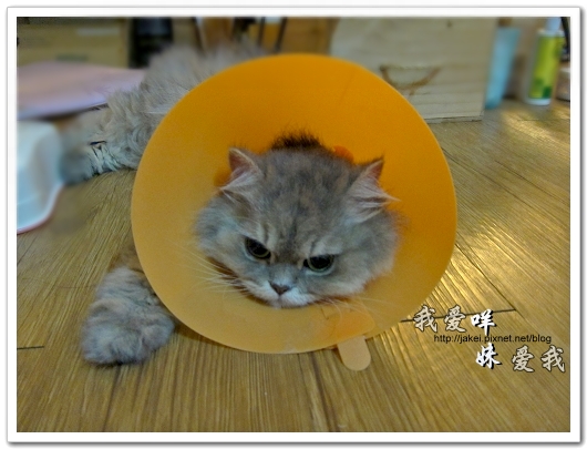 100504 內褲咩 05.jpg 100504 內褲咩 05.jpg