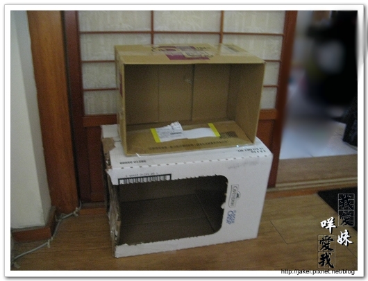 20100102 紙箱貓屋 03.jpg
